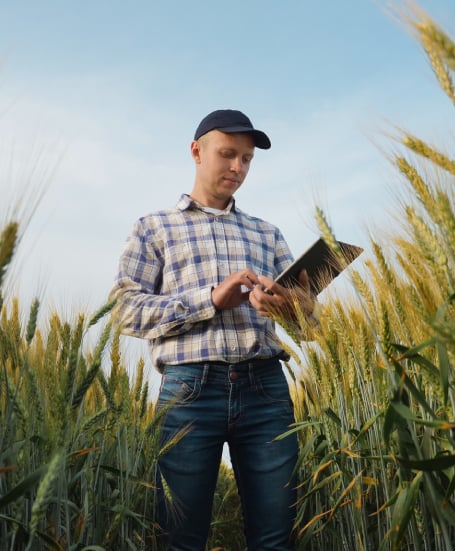 Young farmer works with a digital tablet in a wheat field, smart farm and quality control